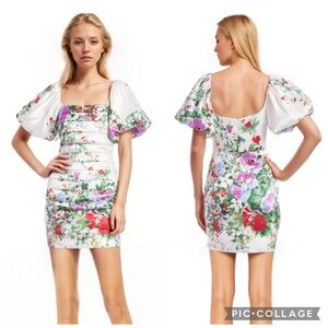 mark & james by badgley mischka mini sequin pixie dress Mini Sequin Pixie Dress by Mark &amp; James by Badgley Mischka